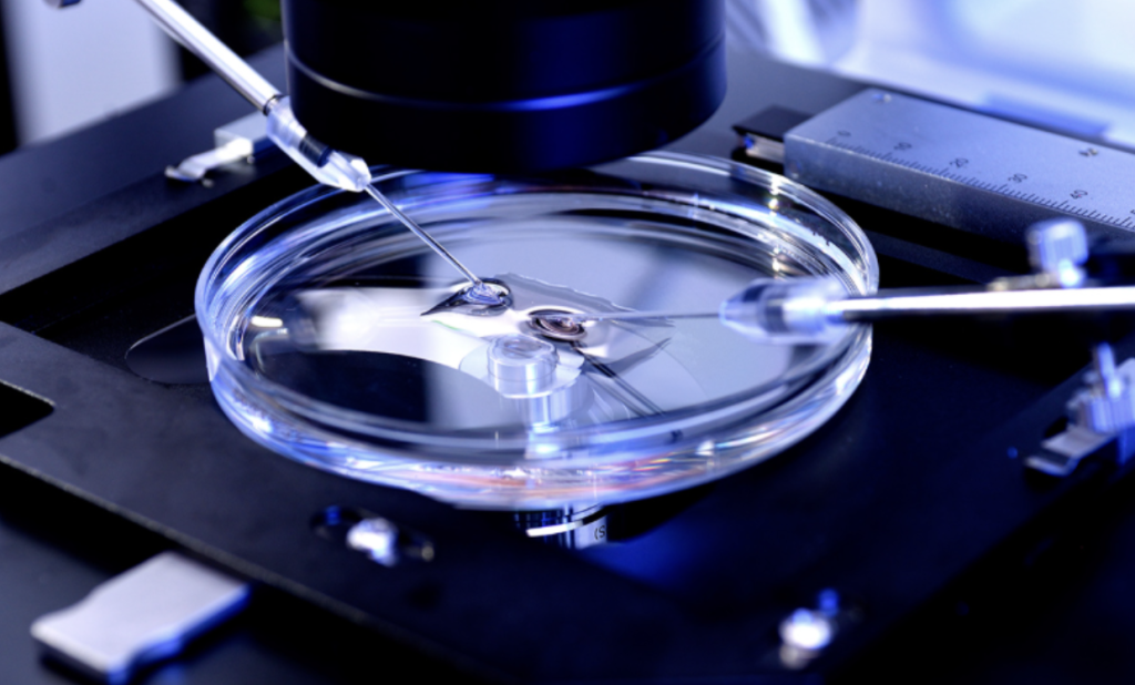 Close-up of a microscope with two needles performing a procedure on a sample inside a petri dish. The setting is a laboratory, and the equipment is arranged on a black platform. The scene is illuminated with a blue tint.
